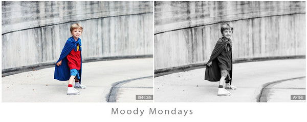 The Ultimate Season Preset Bundle