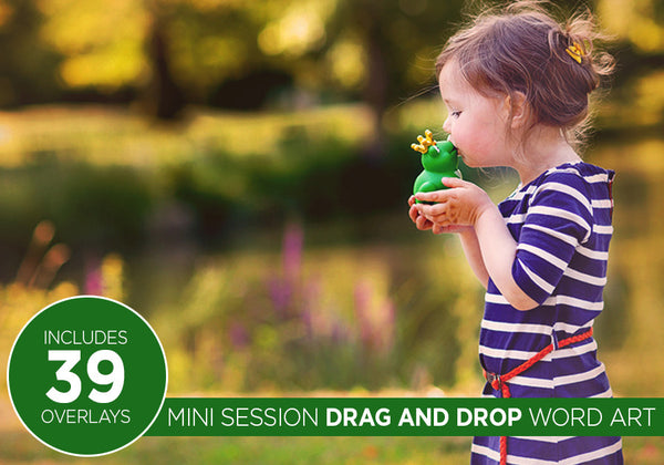 Mini Session Drag and Drop Word Art