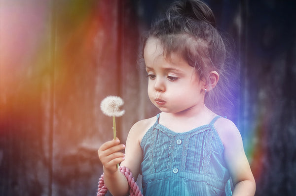 800+ HD Photo Overlays, Underwater, Real Smoke, Rain Overlays + More!