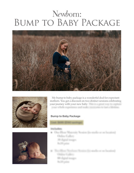 66 Prewritten Photographer Pricing Template Pages