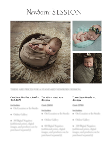 66 Prewritten Photographer Pricing Template Pages