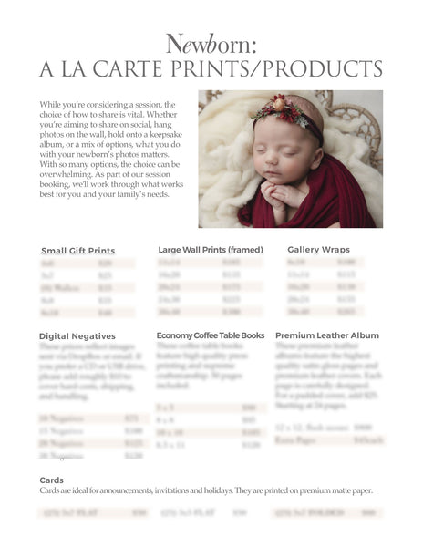 66 Prewritten Photographer Pricing Template Pages