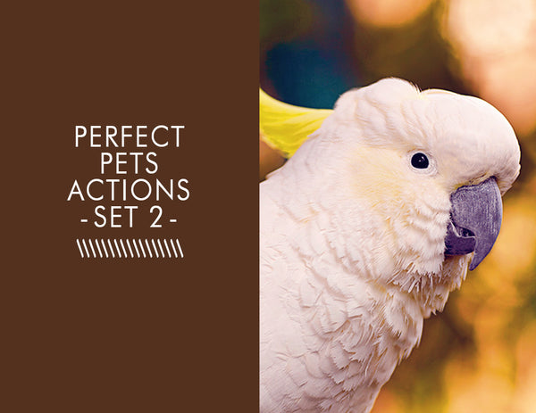 Perfect Pets Actions -Set 2-