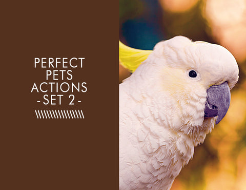 Perfect Pets Actions -Set 2-