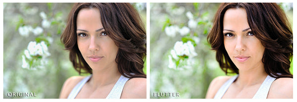 Presets Made Easy Collection