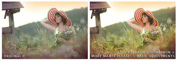 Presets Made Easy Collection