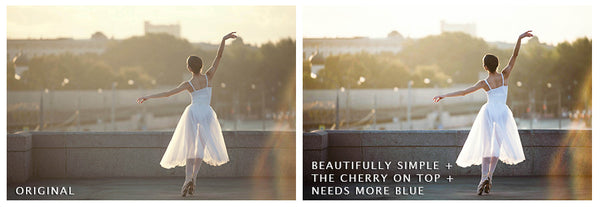 Presets Made Easy Collection