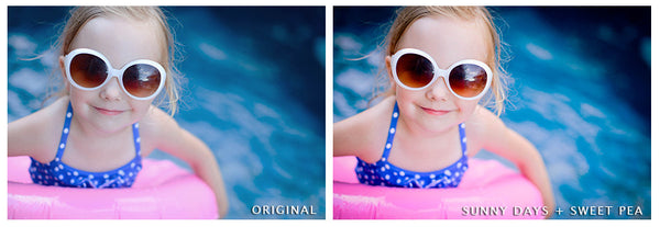 Presets Made Easy Collection