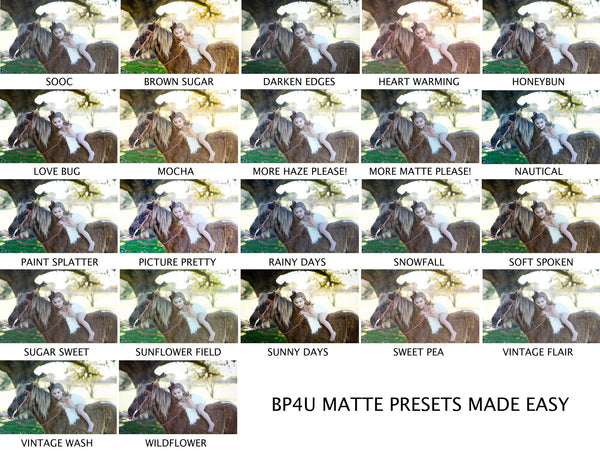 Presets Made Easy Collection