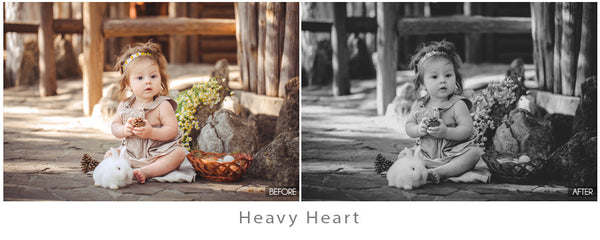 The Ultimate Season Action Bundle