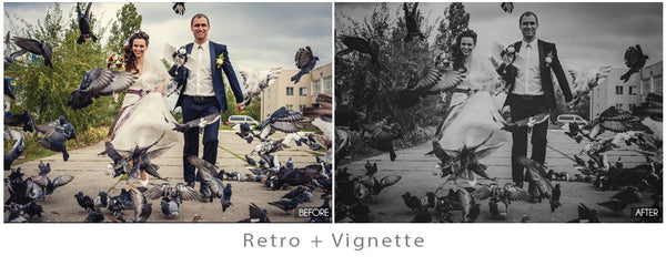 The Ultimate Season Action Bundle