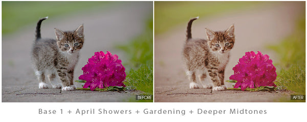 Spring Portrait Action Pack