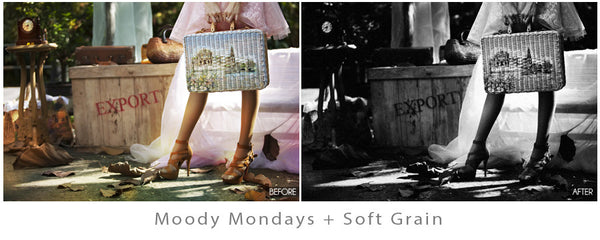 The Ultimate Season Action Bundle