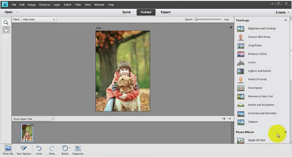 The Beginner's Guide to Using Photoshop Elements