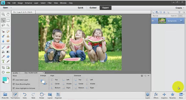 The Beginner's Guide to Using Photoshop Elements