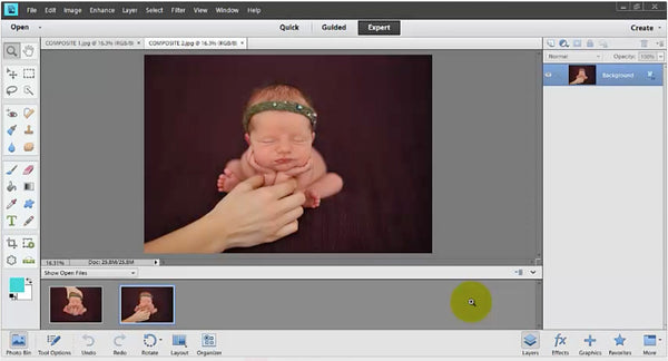 The Beginner's Guide to Using Photoshop Elements