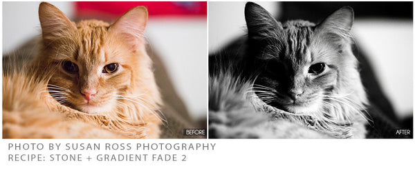 The Ultimate Season Action Bundle