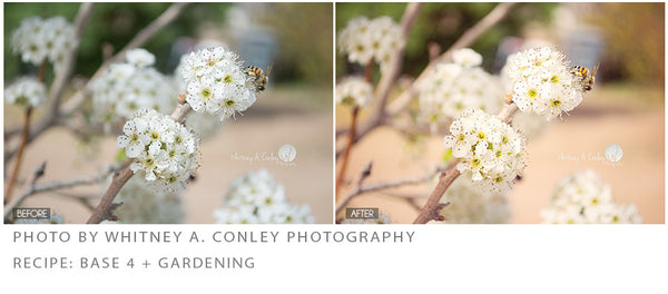 Spring Portrait Action Pack