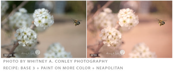 Spring Portrait Action Pack