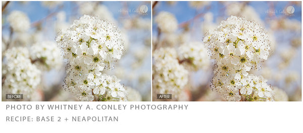 Spring Portrait Action Pack