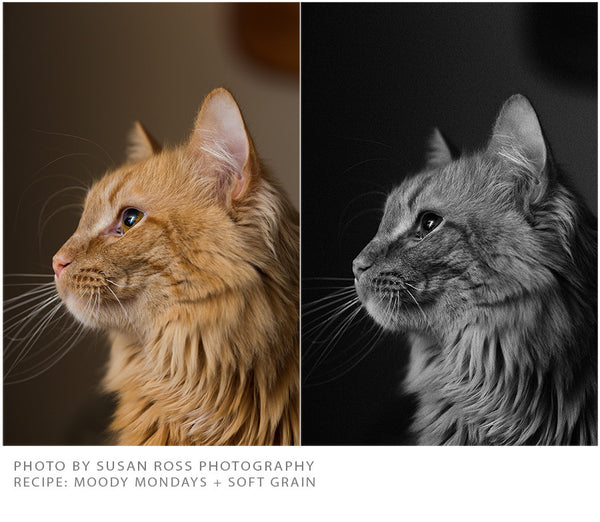 Black and White Film Action Set