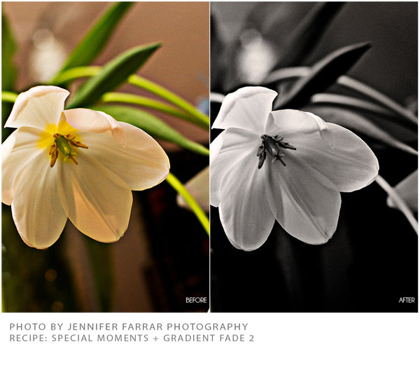 Black and White Film Action Set