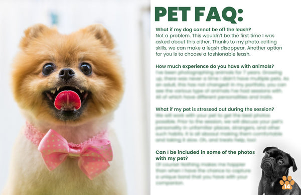 Pet Client Guide Template | Welcome Packet | PSD Templates