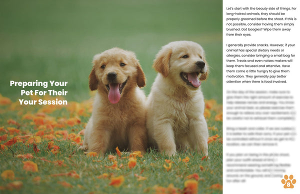 Pet Client Guide Template | Welcome Packet | PSD Templates