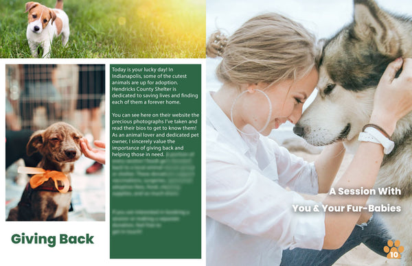 Pet Client Guide Template | Welcome Packet | PSD Templates