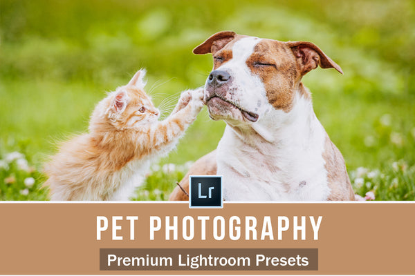 Pet Lightroom Presets for Pet Photographers
