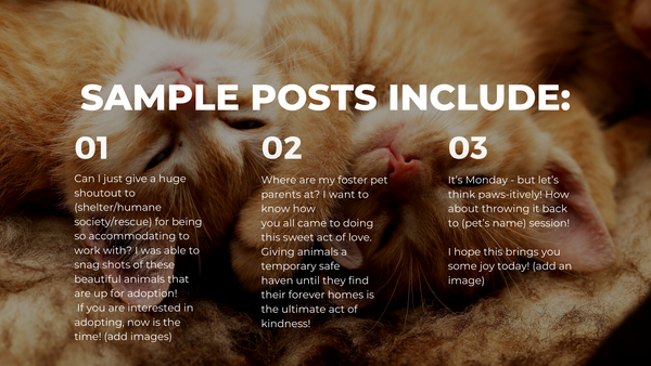 Pet Photography Social Media Content *Copy-Paste-Post* - Already done for you!