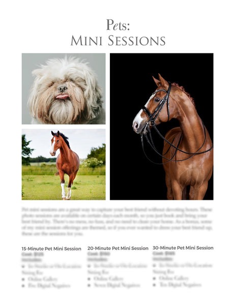 66 Prewritten Photographer Pricing Template Pages