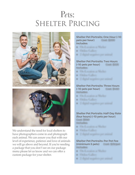 66 Prewritten Photographer Pricing Template Pages