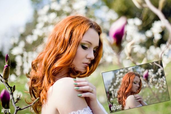 Presets Made Easy Collection