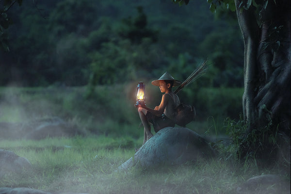 800+ HD Photo Overlays, Underwater, Real Smoke, Rain Overlays + More!