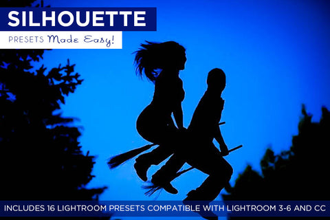 Silhouette Presets Made Easy!