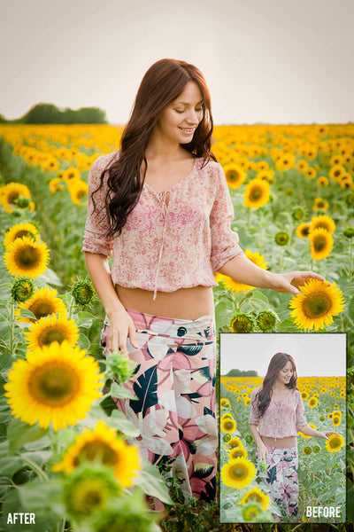 Presets Made Easy Collection