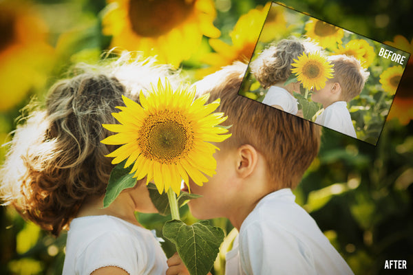 Creative Editing Actions Bundle (Photoshop)