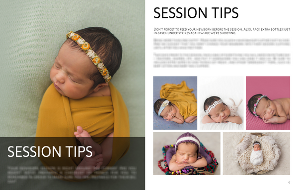 Session Tip Guide for Clients: HUGE BUNDLE!