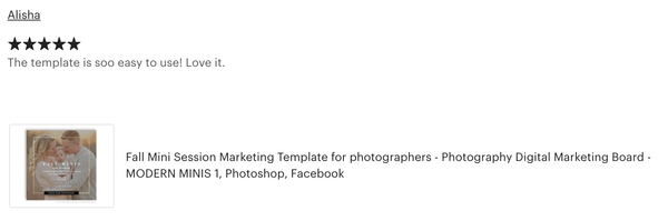 Fall Mini Session Marketing Templates - 4 Piece Bundle - Digital Marketing Templates - FALL MODERN MINIS - 1566