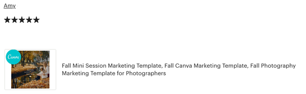 Fall Mini Session Marketing Templates for CANVA - 4 Piece Bundle - FALL MODERN MINIS