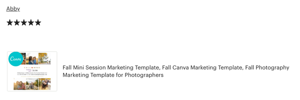 Fall Mini Session Marketing Templates for CANVA - 4 Piece Bundle - FALL MODERN MINIS