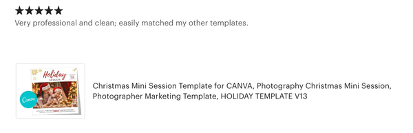 Holiday, Christmas Mini Session Marketing Template Bundle for CANVA