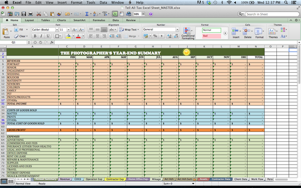 Tax Spreadsheets for Photographers