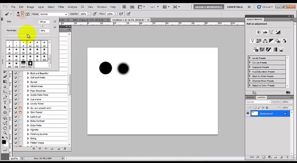 The Beginner's Guide to Using Photoshop CS