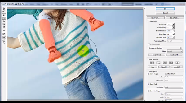 The Beginner's Guide to Using Photoshop CS