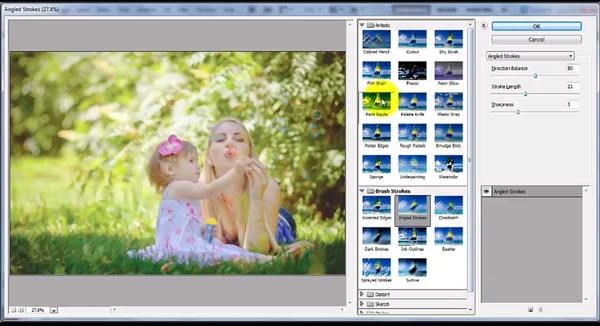 The Beginner's Guide to Using Photoshop CS