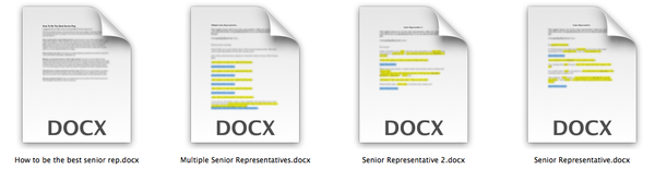 Senior Rep Marketing Bundle