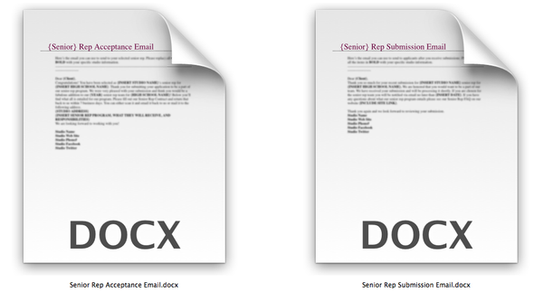 Senior Rep Marketing Bundle