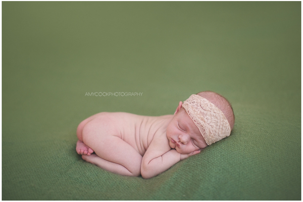 Amy Cook Photography Newborn Videos and E-Workbook